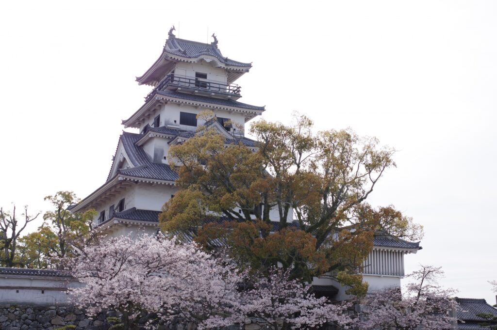 今治城と桜