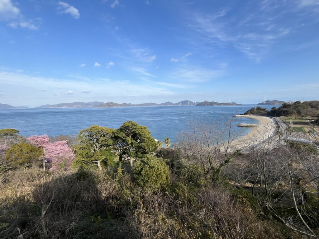 大角海浜公園 展望