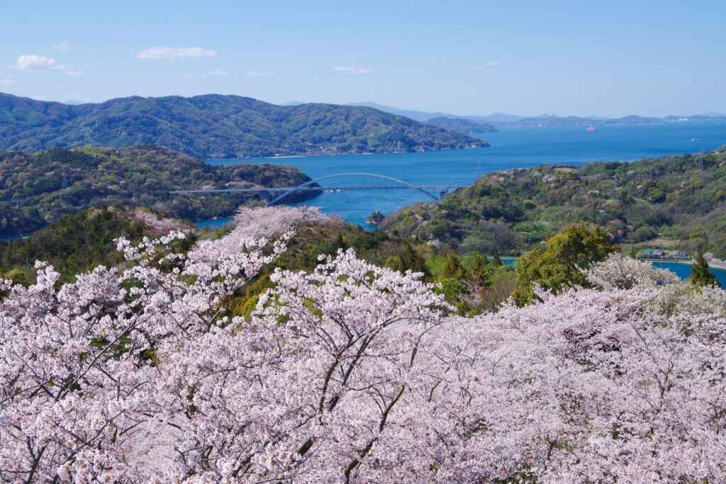 開山公園 展望