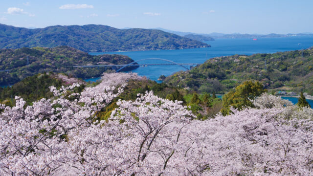 開山公園