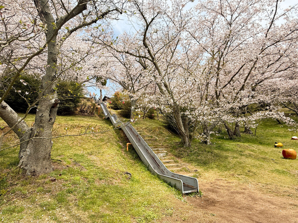 開山公園 滑り台