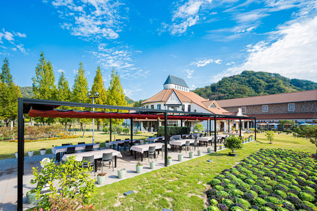 タオル美術館 ガーデン